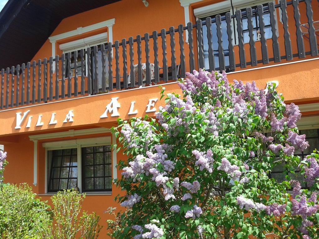 Villa Alexandr Alsopahok Exterior foto